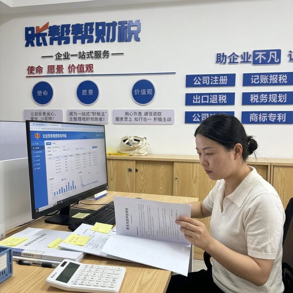 惠州账帮帮财税顾问审查税务风险评估报告